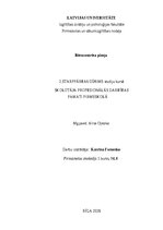 Essays 'Bērncentrētā pieeja', 1.