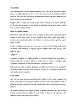 Essays 'Jāņu tradīcijas Latvijā un Eiropā', 6.