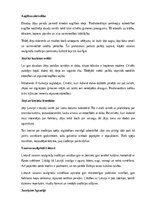 Essays 'Jāņu tradīcijas Latvijā un Eiropā', 7.