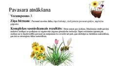 Presentations 'Integrēta mācību satura plānošana tematam (1 mēnesis)', 2.