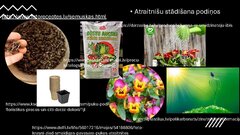 Presentations 'Integrēta mācību satura plānošana tematam (1 mēnesis)', 16.