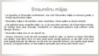 Presentations 'Mājas motīvs Edvarta Virzas poēmā "Straumēni"', 2.