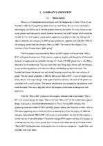 Research Papers 'The Company "Meizu"', 3.