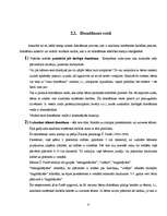 Research Papers 'Domāšana un runa', 8.