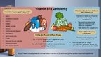 Presentations 'Vegānisms, veģetārisms un B12 vitamīns', 5.