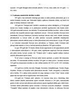 Term Papers 'A/S “Ventspils nafta” finansiālā stāvokļa vērtējums un attīstības prognozes', 14.