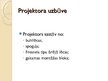 Presentations 'Projektori', 8.