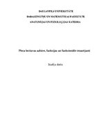 Research Papers 'Plecu locītavas uzbūve, funkcijas un funkcionālie traucējumi', 1.