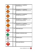 Samples 'Darba aizsardzības instrukcija darbam ar ķīmiskām vielām', 4.