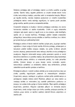 Essays 'Psiholoģija: cilvēka prāta, uzvedības un sabiedrības izpēte”', 3.