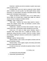 Research Papers 'Krievu biznesa kultūra Latvijā', 9.