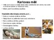 Presentations 'Karlovi Vari SPA kūrorts', 7.
