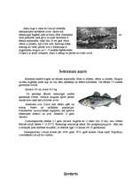 Research Papers 'Asarveidīgās zivis', 3.
