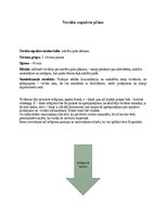 Summaries, Notes 'Sapulces plānošana 3. vecuma posmam', 3.