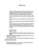 Summaries, Notes 'Sapulces plānošana 3. vecuma posmam', 5.