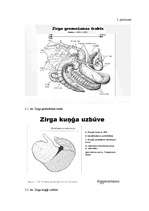 Research Papers 'Zirgu barošana', 22.