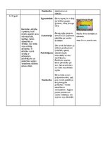 Summaries, Notes 'Attīstības psiholoģija', 8.