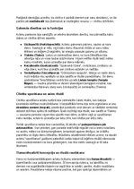 Summaries, Notes 'Acteki: vēsture, kultūra, mitoloģija, sabiedrība un kultūras mantojums', 5.