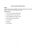 Research Papers 'Nervu sistēmas izmeklēšana. Sporta medicīna', 2.