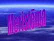 Presentations 'Meristēma', 1.