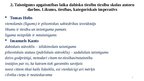 Presentations 'Taisnīguma un laimes diskurss tiesību zinātnē', 4.