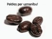Presentations 'Lignosilīcija iedarbība uz kafijas koka augšanu', 10.