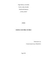 Essays 'Krievijas un ukrainas karš ietekme uz Eiropas Savienības tiesībām', 1.