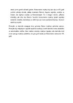 Essays 'Politiskā struktūra senajā Romā – principāts un domināts', 3.