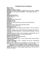 Research Papers 'Ķengurveidīgie', 3.