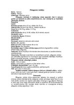 Research Papers 'Ķengurveidīgie', 12.