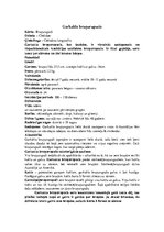 Summaries, Notes 'Bruņurupuči', 10.