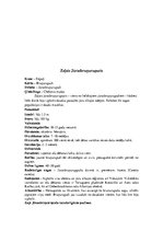 Summaries, Notes 'Bruņurupuči', 16.