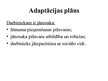 Presentations 'Adaptācijas plāns', 6.