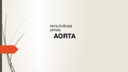 Presentations 'Aorta', 1.