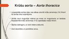 Presentations 'Aorta', 14.