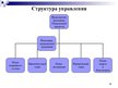 Presentations 'Выбор варианта доставки партии груза', 4.