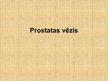 Presentations 'Prostatas vēzis', 1.