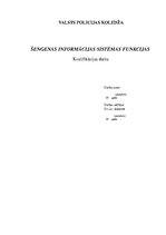 Term Papers 'Šengenas informācijas sistēmas funkcijas', 1.
