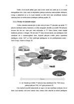 Research Papers 'SIA "Tele2" tirgus izpēte produktam - mobilo sakaru pakalpojumi', 14.