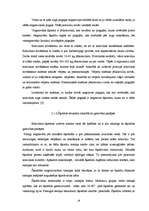 Term Papers 'Kokvilnas un poliamīda šķiedru auduma izstrādāšanas tehnoloģiskās īpašības', 19.