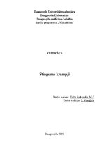 Research Papers 'Stinguma krampji', 1.