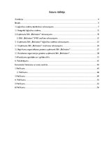 Practice Reports 'Uzņēmuma SIA "Baltrotors" loģistikas sistēmas raksturojums', 3.