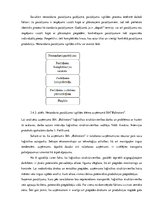 Practice Reports 'Uzņēmuma SIA "Baltrotors" loģistikas sistēmas raksturojums', 38.