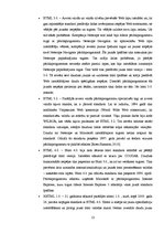 Term Papers 'Makšķerēšanas licenču iegādes interneta sistēmas izveide Ainažu pilsētas domei', 13.