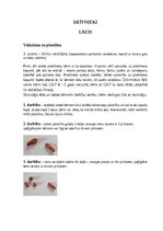 Samples 'Pirmsskolas speciālā pedagoģija', 2.