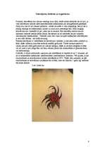 Research Papers 'Tetovējumi', 9.