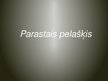 Presentations 'Parastais pelašķis', 1.