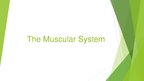 Presentations 'The Muscular System', 1.