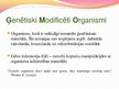 Presentations 'Ģenētiski modificēti organismi - kas tie ir un kur tos izmanto', 2.