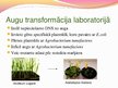 Presentations 'Ģenētiski modificēti organismi - kas tie ir un kur tos izmanto', 11.